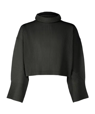 Issey Miyake Monthly Color June Turtleneck In Black