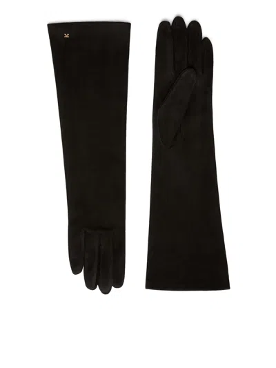 Max Mara Afideesuede Gloves In Suede Nappa In Blue