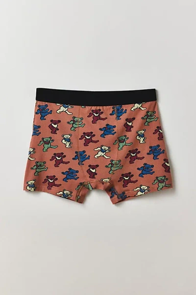 Urban Outfitters Grateful Dead Bear Pattern Boxer Brief In Brown, Men's At  In Brown
