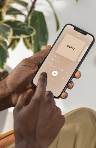 Pura X Aromatique The Smell Of Tree 2-pack Diffuser Fragrance Refills In Green