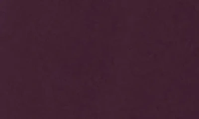 Apana Villa Cargo Joggers In Purple