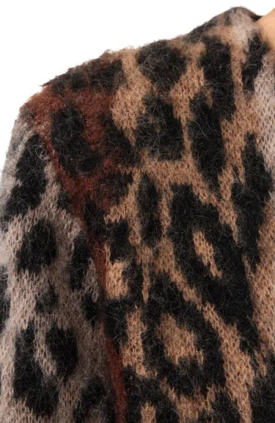 Allsaints Wick Cropped Mohair Cardigan In Leopard Brown In Multi