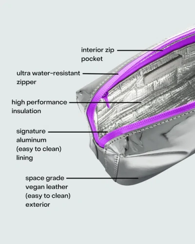Wellinsulated Limited Edition Performance Beauty Bag In Silver