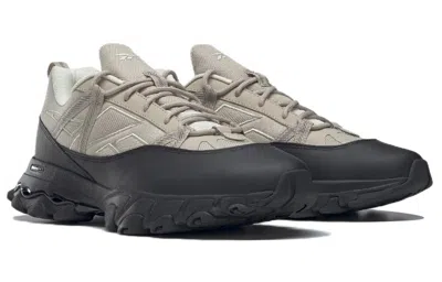 Reebok Dmx Trail Shadow 'modern Beige' In Multi