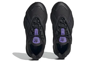 Adidas Originals (wmns)  Oztral 'black Purple'