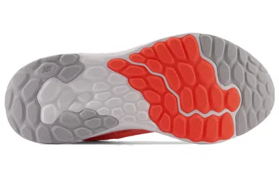 New Balance Women's Fresh Foam Arishi V4 In Multi