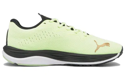 Puma Velocity Nitro 2 'run 75' In Green