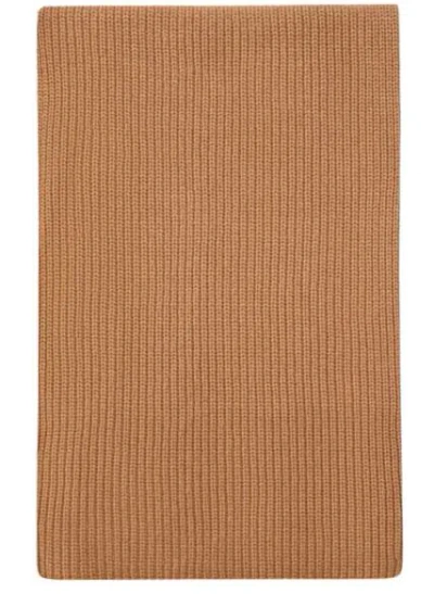 Pinko Slovenia Ribbed Label Scarf In Brown