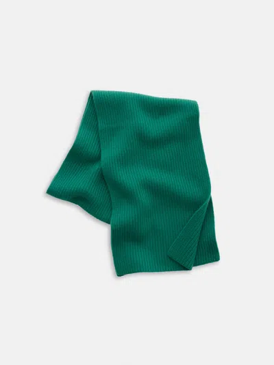 Alex Mill Cashmere Scarf In Brown