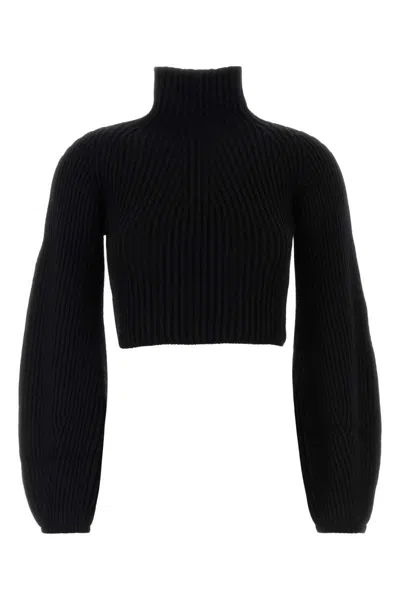 Sportmax Cropped High Neck Long Sleeve Knit Sweater In Black