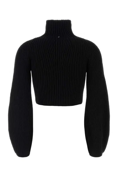 Sportmax Cropped High Neck Long Sleeve Knit Sweater In Black