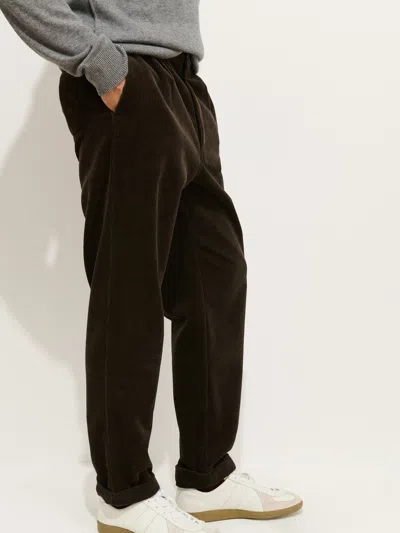Alex Mill Standard Pleated Pant In Cord In Brown