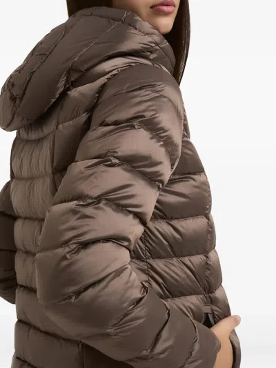 Colmar Hooded Padded Coat In Brown