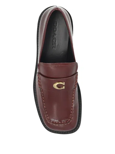 Coach 25mm Penny Loafers In Multi