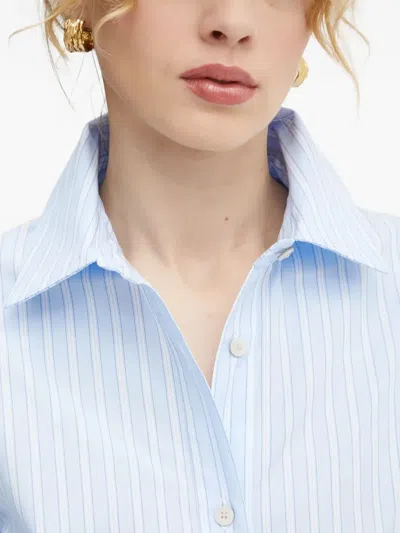 Won Hundred Mens Blue Stripe Fernanda Stripe Cotton Shirt In Blue