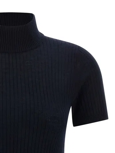 Max Mara Short-sleeved Wool Turtleneck Top In Black