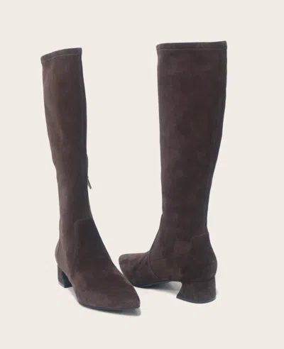 Gentle Souls - Gallway Micro Suede Tall Stretch Boot In Brown