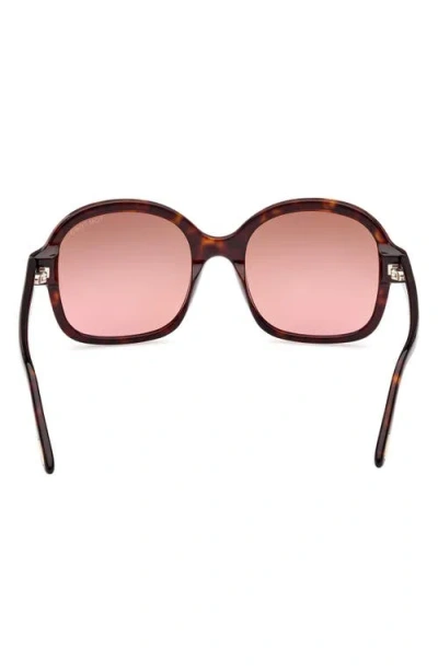 Tom Ford Hanley Brown Butterfly Ladies Sunglasses Ft1034 52f 57