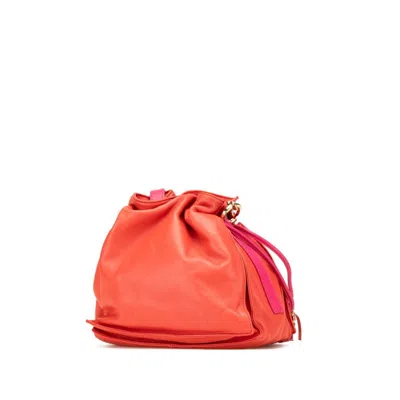 Pre-owned Loewe Pink Red Color Leather Shoulder Bag ()