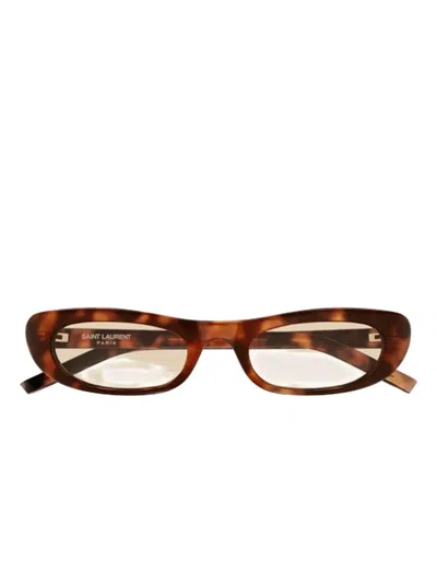 Saint Laurent Sl 557 Shade008-havana-havana-brown In Brown