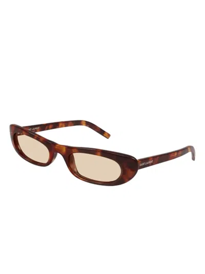 Saint Laurent Sl 557 Shade008-havana-havana-brown In Brown