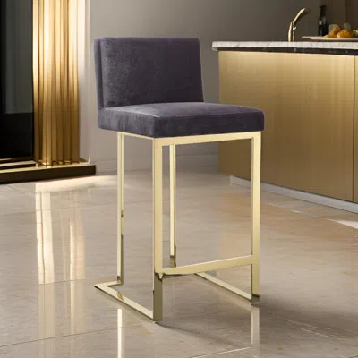 Hivvago Boly 26 Inch Counter Stool Chair, Cushioned Gray Velvet, Gold Cantilever In Gold