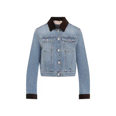 Marni Deep Blue Cotton Washed Bull Denim Trucker Cropped Jacket In Blue