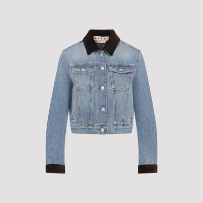 Marni Deep Blue Cotton Washed Bull Denim Trucker Cropped Jacket In Blue