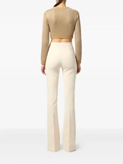 Elisabetta Franchi Knitted Long-sleeved Cropped Top With Sequins Clothing In Brown