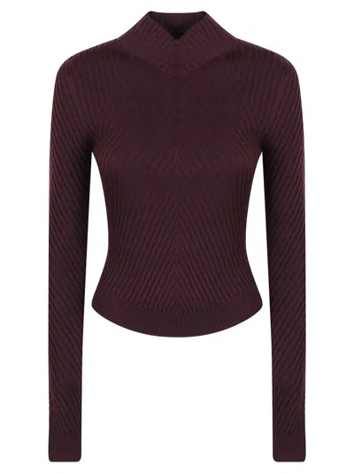 Victoria Beckham Fitted Long-sleeved Ribbed Knit Top With High Neckline In Brown