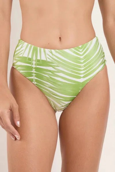 Rio De Sol Hotpant Bikini Bottom In Palms In Green