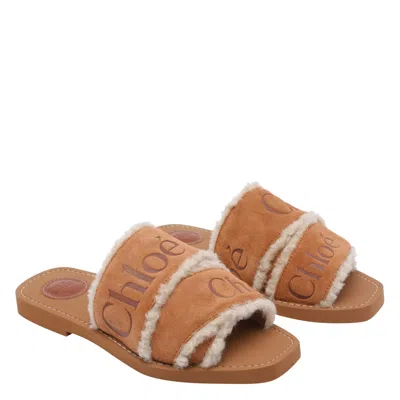 Chloé Chloe' Women Woody Sandals In Brown