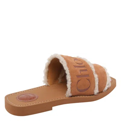 Chloé Chloe' Women Woody Sandals In Brown