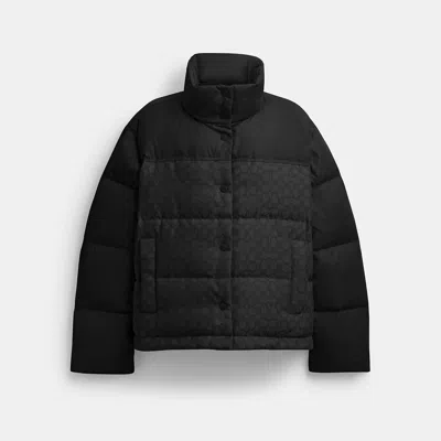 Coach Signature Down Jacket In Black