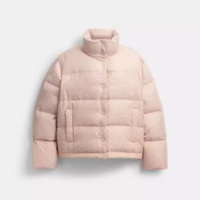Coach Signature Down Jacket In Pink