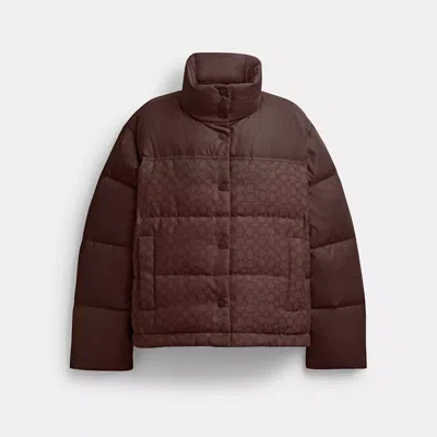 Coach Signature Down Jacket In Brown