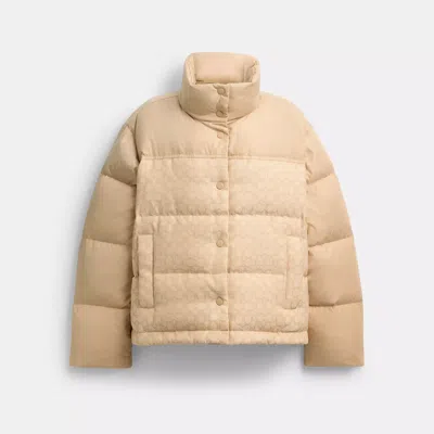 Coach Signature Down Jacket In Sand