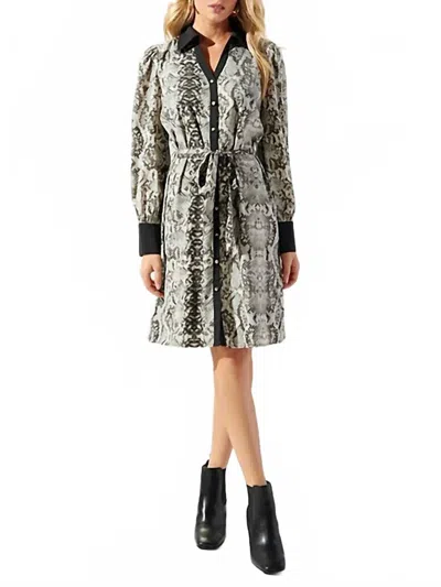 Sugarlips Celeste Snake Skin Button Front Dress In Grey In Gray