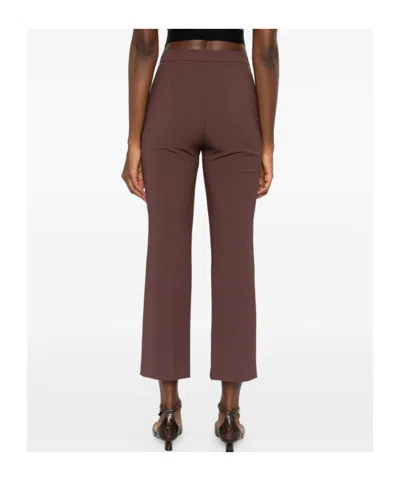 Elisabetta Franchi Cropped Brown Straight-leg Trousers With High Waist In Multi