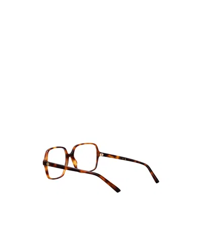 Gucci Havana-havana-transparent Recycled Acetate Glasses In Brown