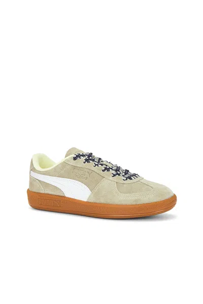 Puma Palermo Laces Sneaker In Multi