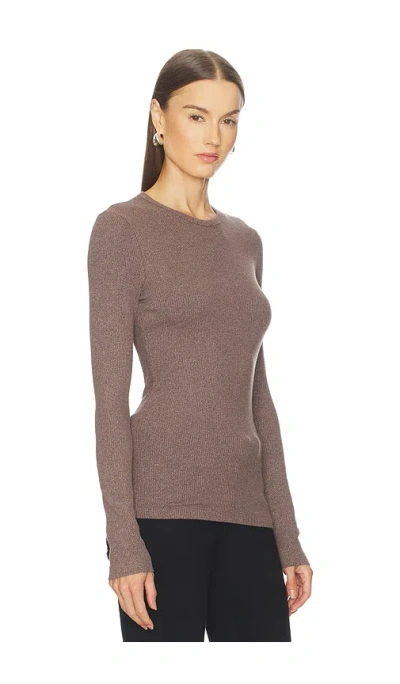 Agolde Delphi Slim Tee In Brown