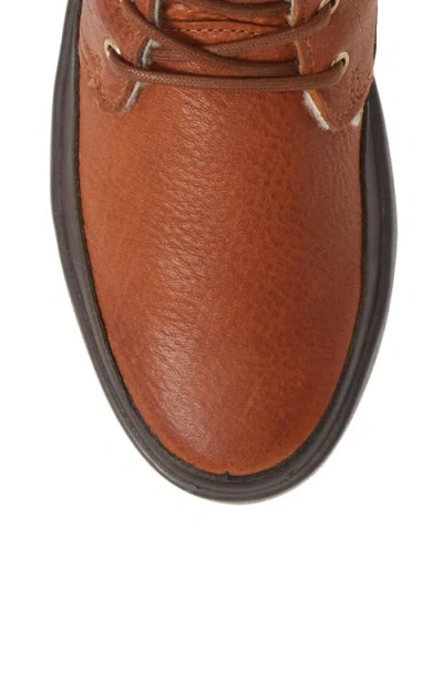 Blackstone 'cw96' Genuine Shearling Lined Sneaker Boot In Brown