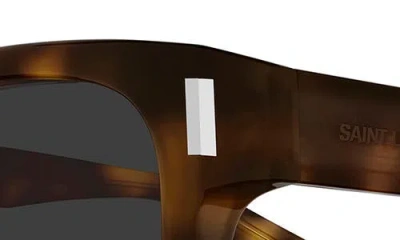 Saint Laurent 53mm Rectangular Sunglasses In Brown