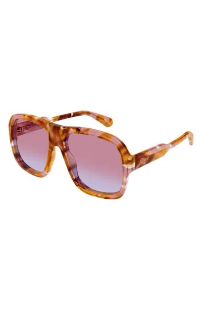 Chloé Gayia Aviator-style Tortoiseshell Acetate Sunglasses In Neutral