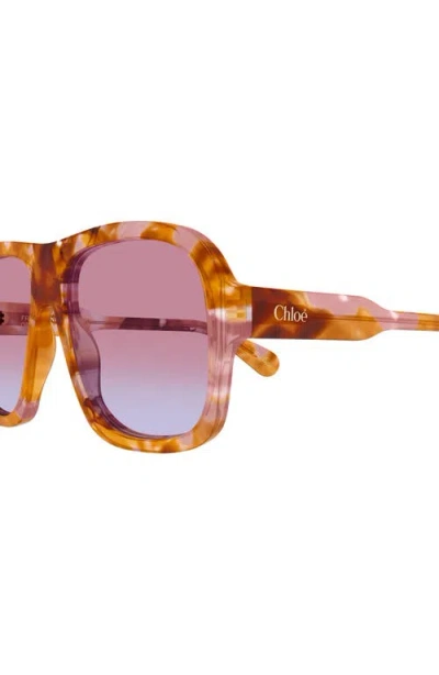 Chloé Gayia Aviator-style Tortoiseshell Acetate Sunglasses In Neutral