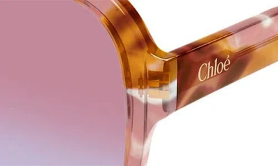 Chloé Gayia Aviator-style Tortoiseshell Acetate Sunglasses In Neutral
