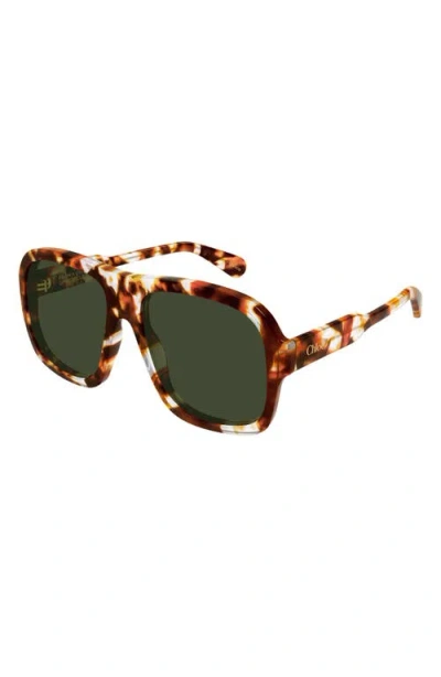 Chloé Geometric Ch0331s Sunglasses In Multi