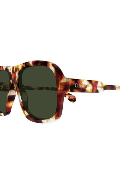 Chloé Geometric Ch0331s Sunglasses In Multi