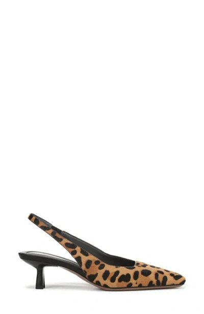 Sarto By Franco Sarto Raven Slingback Kitten Heel Pump In Brown